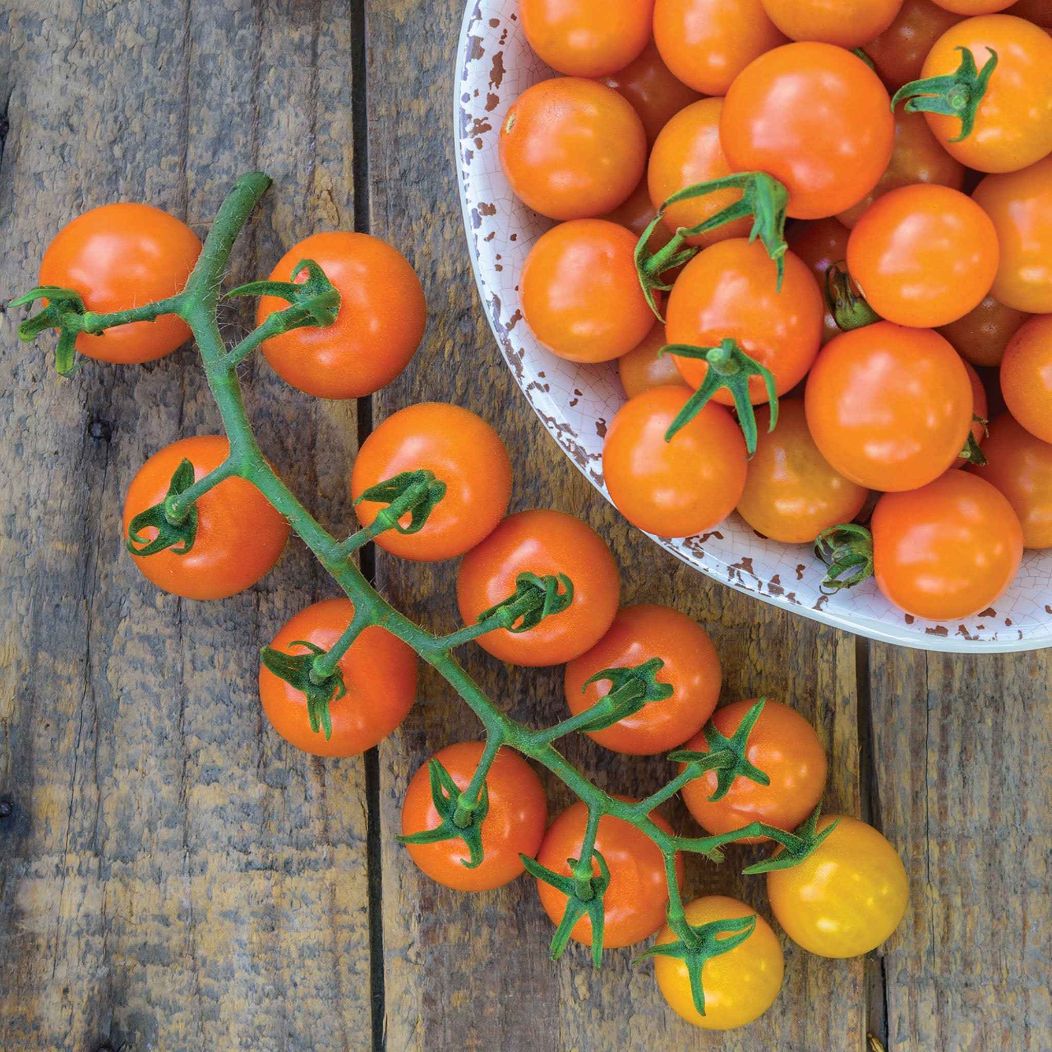 Honeycomb Tomato