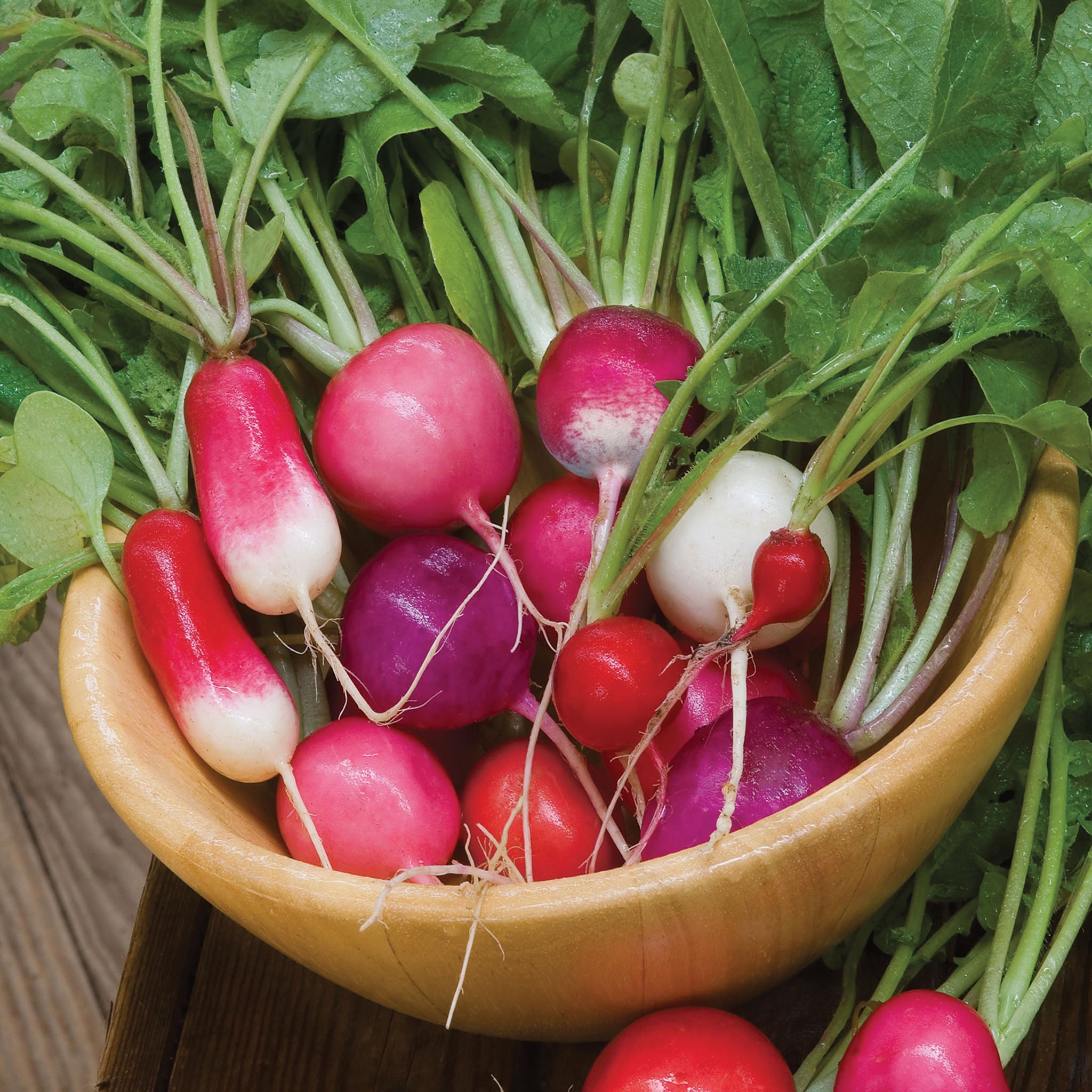 Cooks Custom Blend Radish