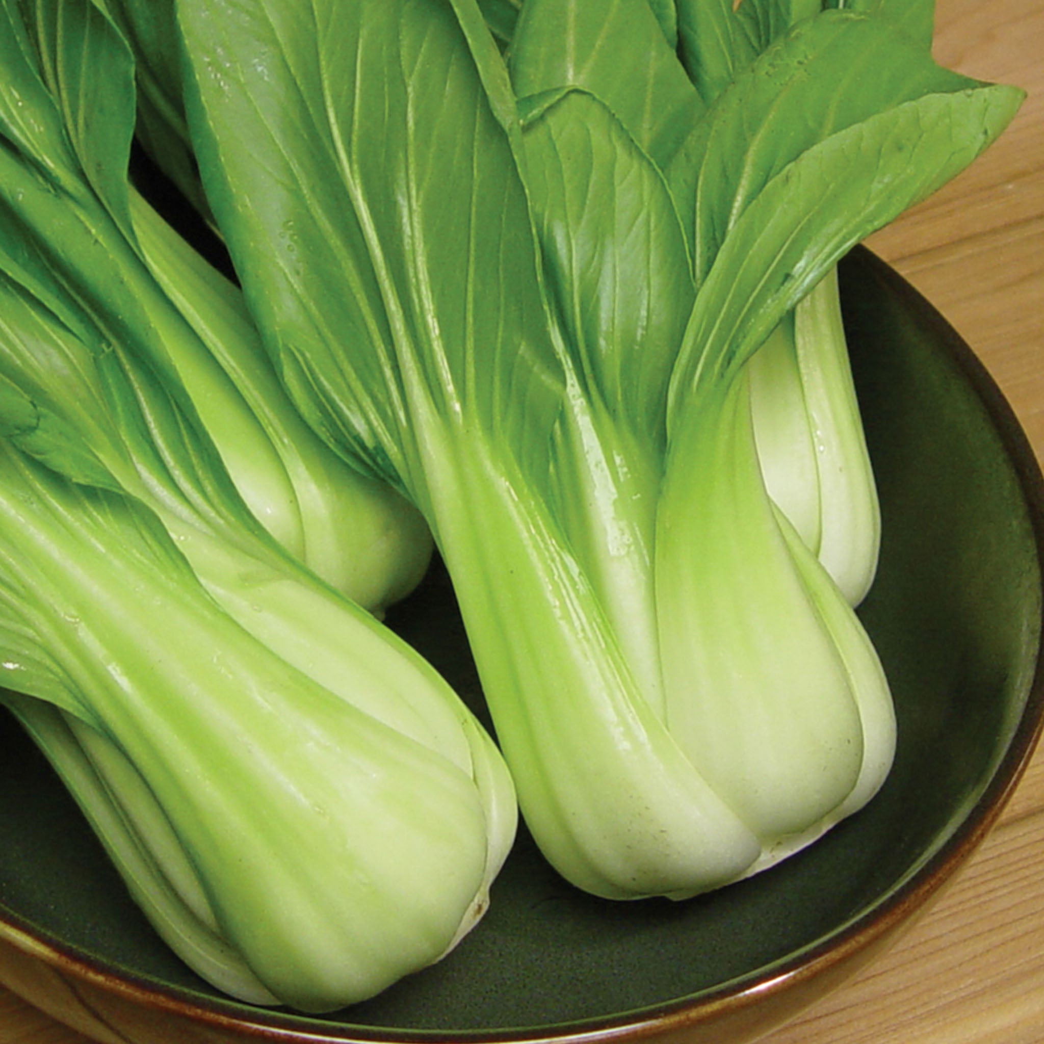 Baby Choi Organic Cabbage