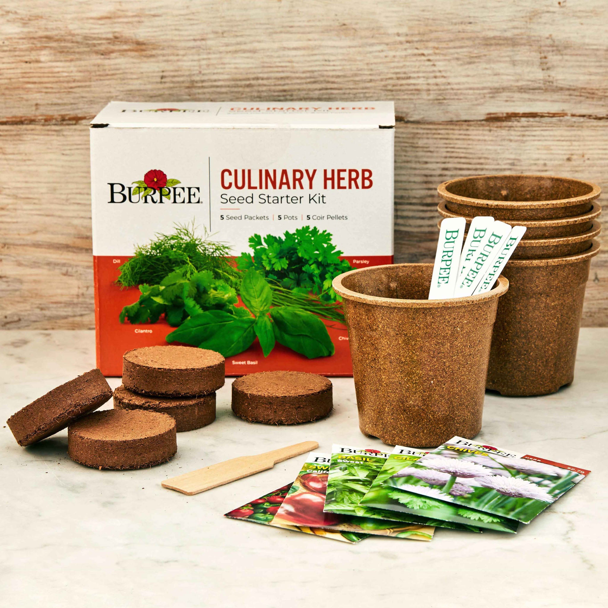 Burpee Culinary Herb Seed Starter Kit