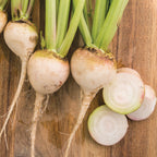 Avalanche Beet