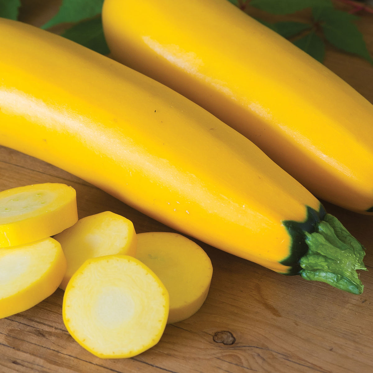 Gourmet Gold Squash