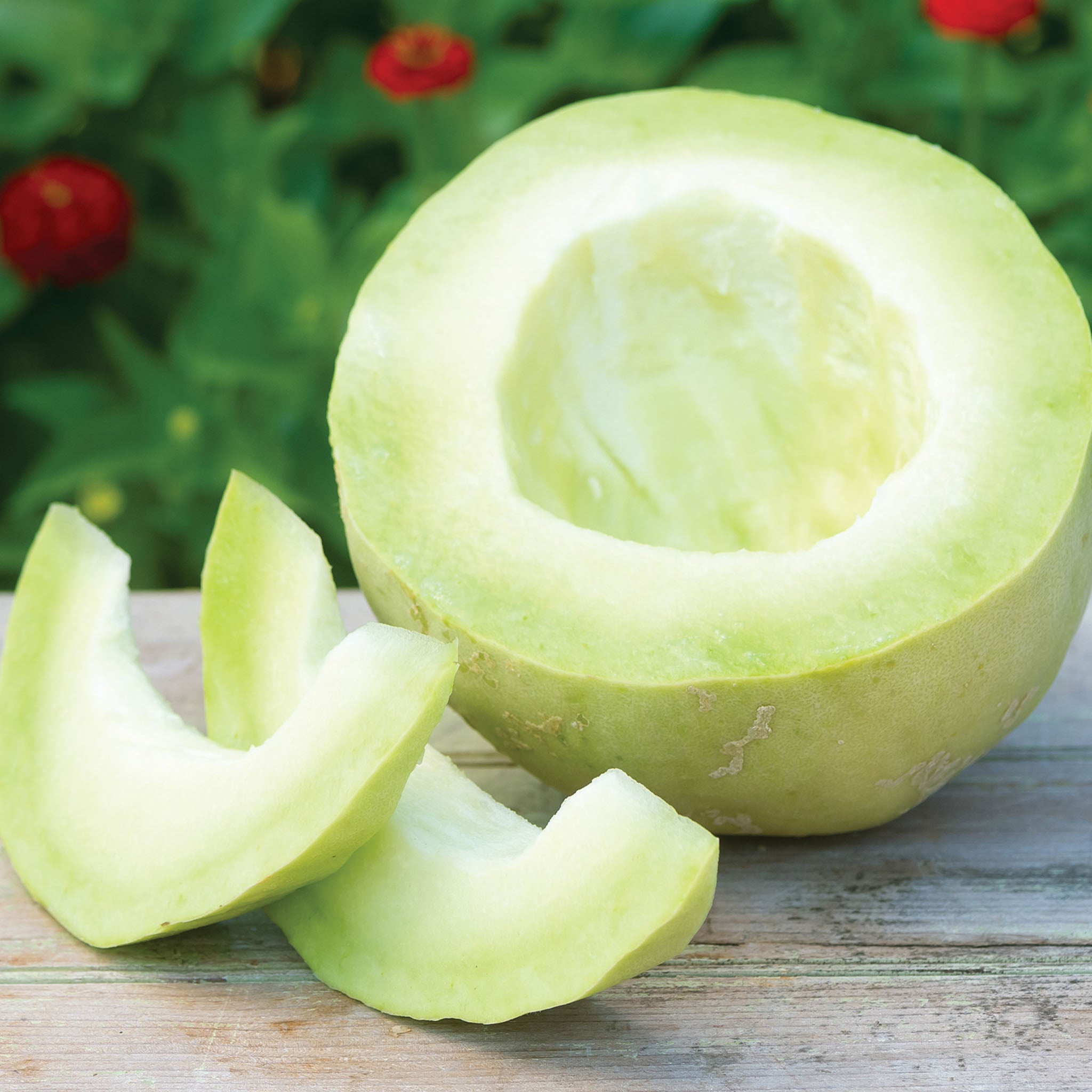 Bodacious Melon