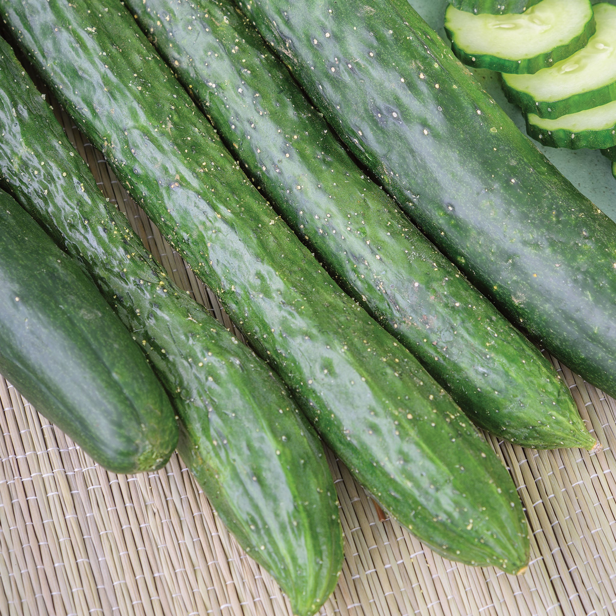 Dragon Suhyo Cucumber