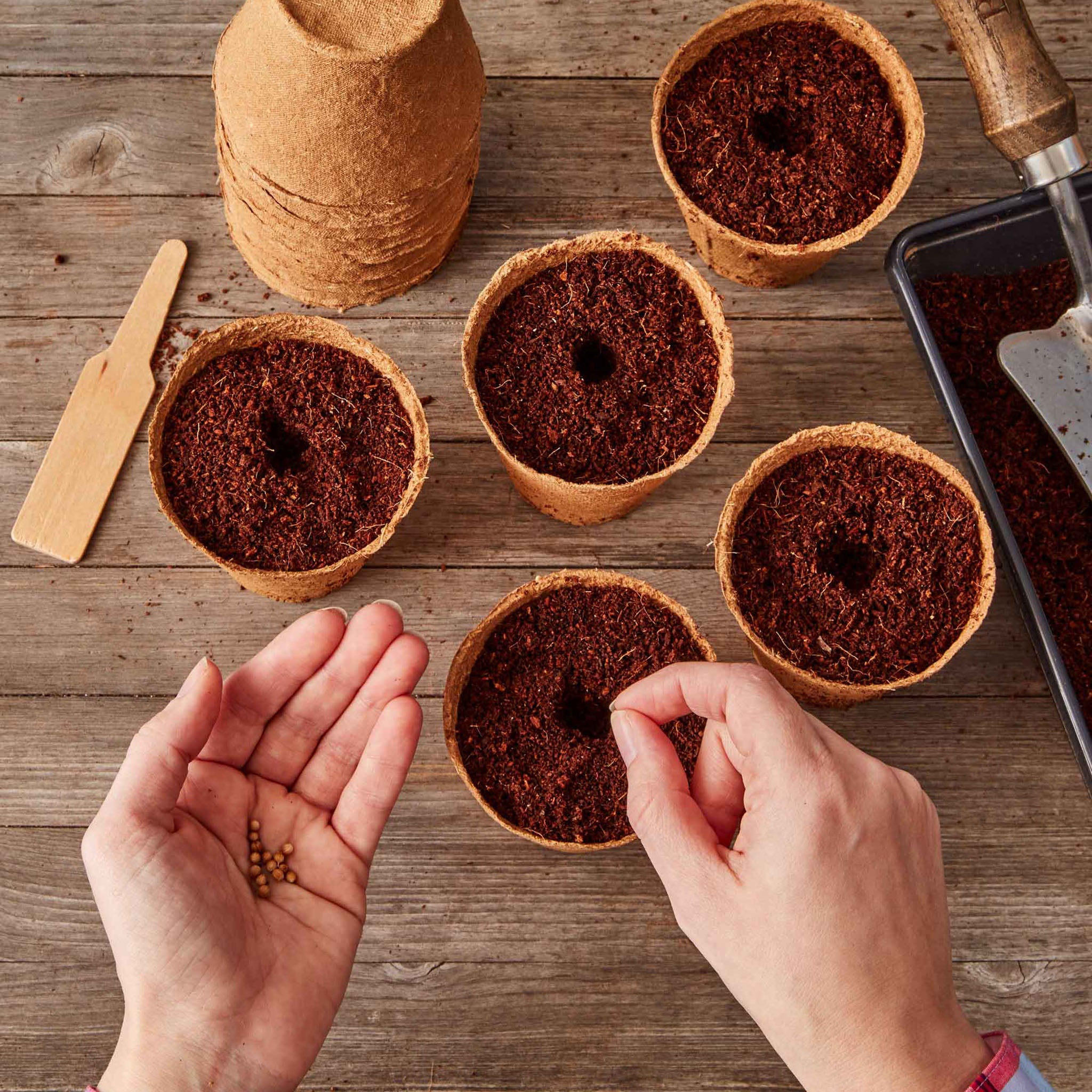 Biodegradable Plantable Round Fiber Pots