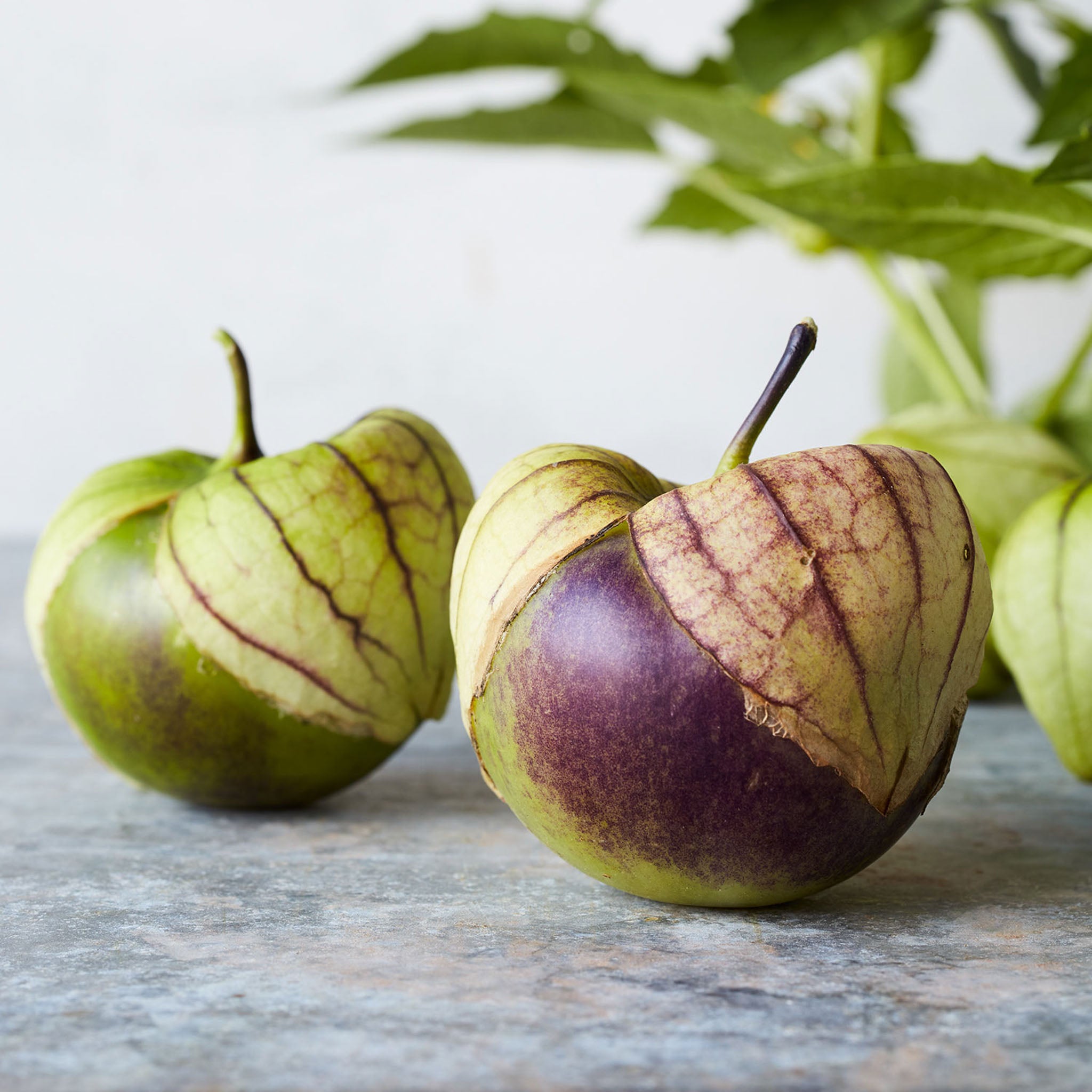 Purple Organic Tomatillo