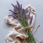 Sensational!® Lavender