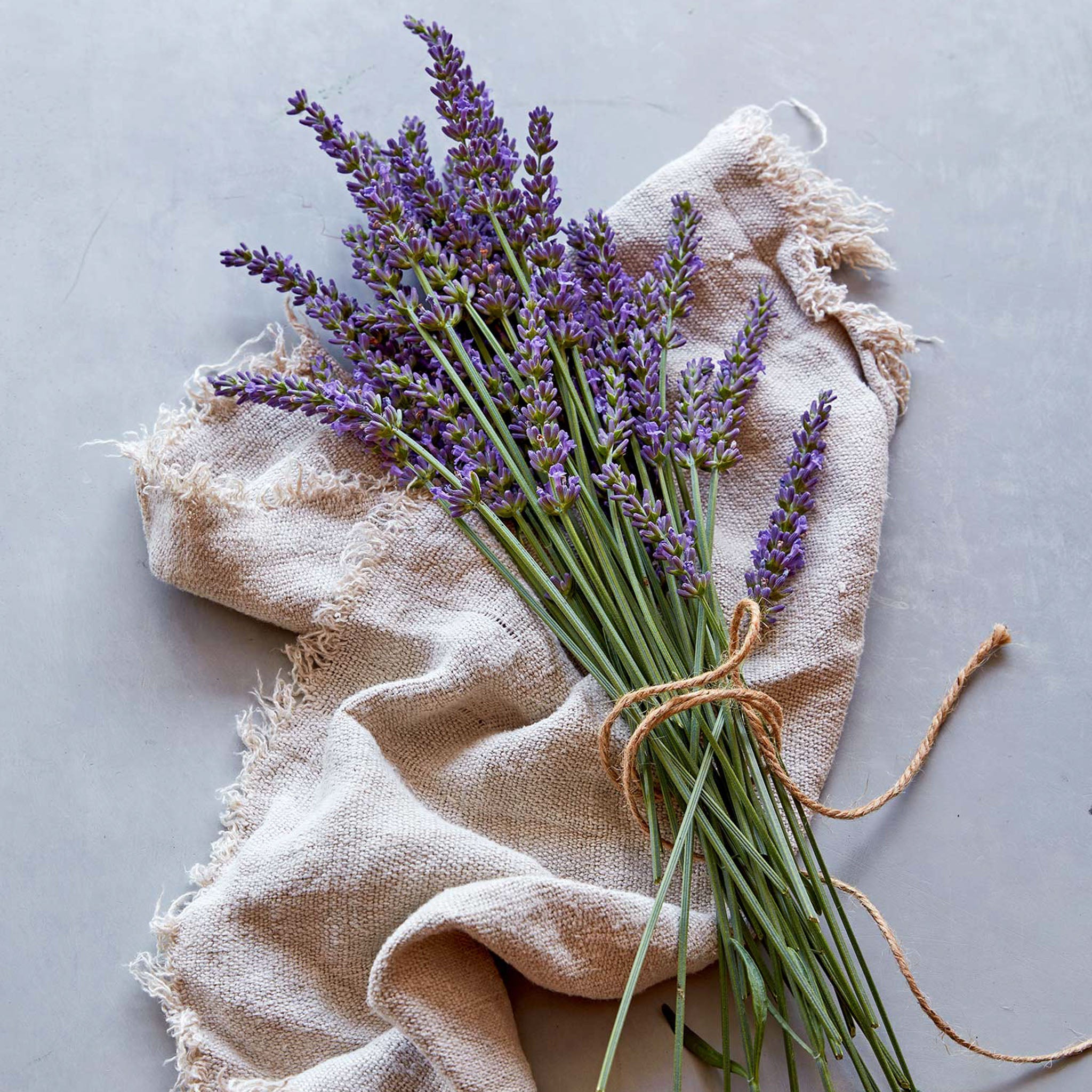 Sensational!® Lavender