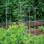 Pea And Cucumber Fence 2/Pack