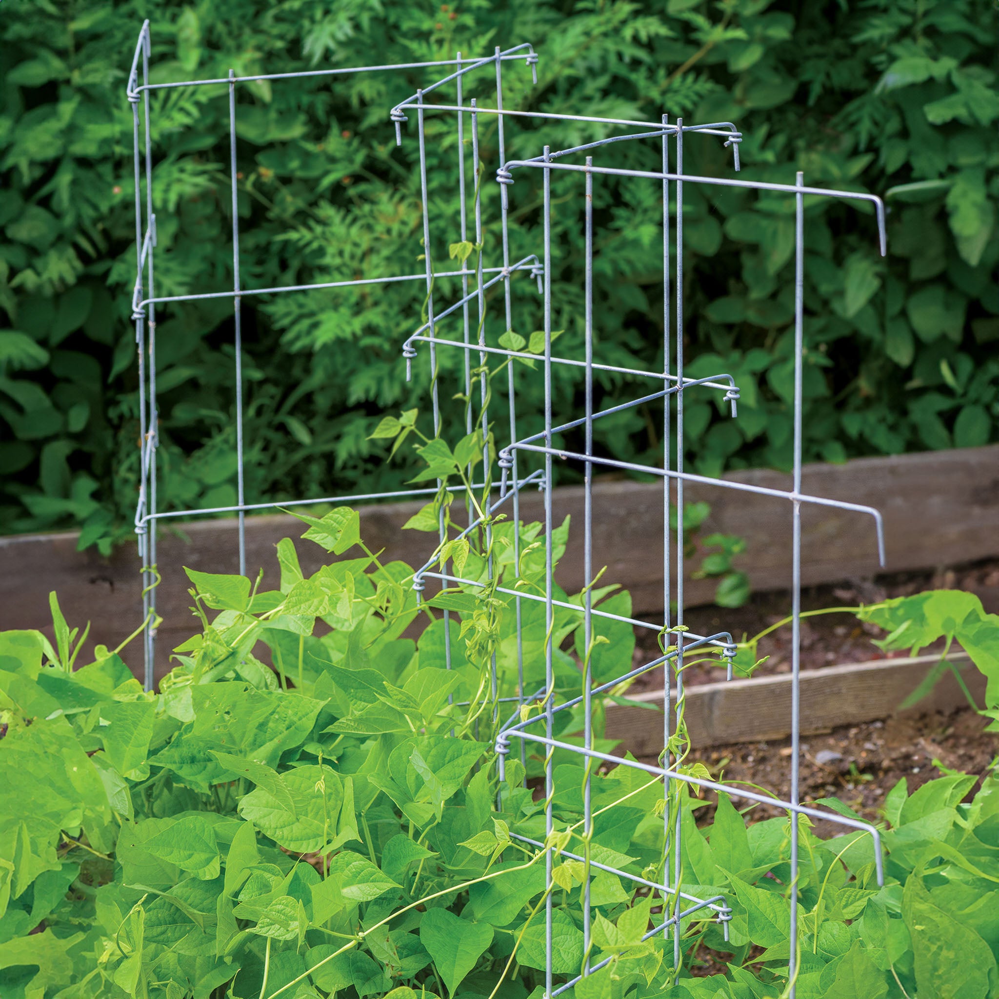 Pea And Cucumber Fence 2/Pack