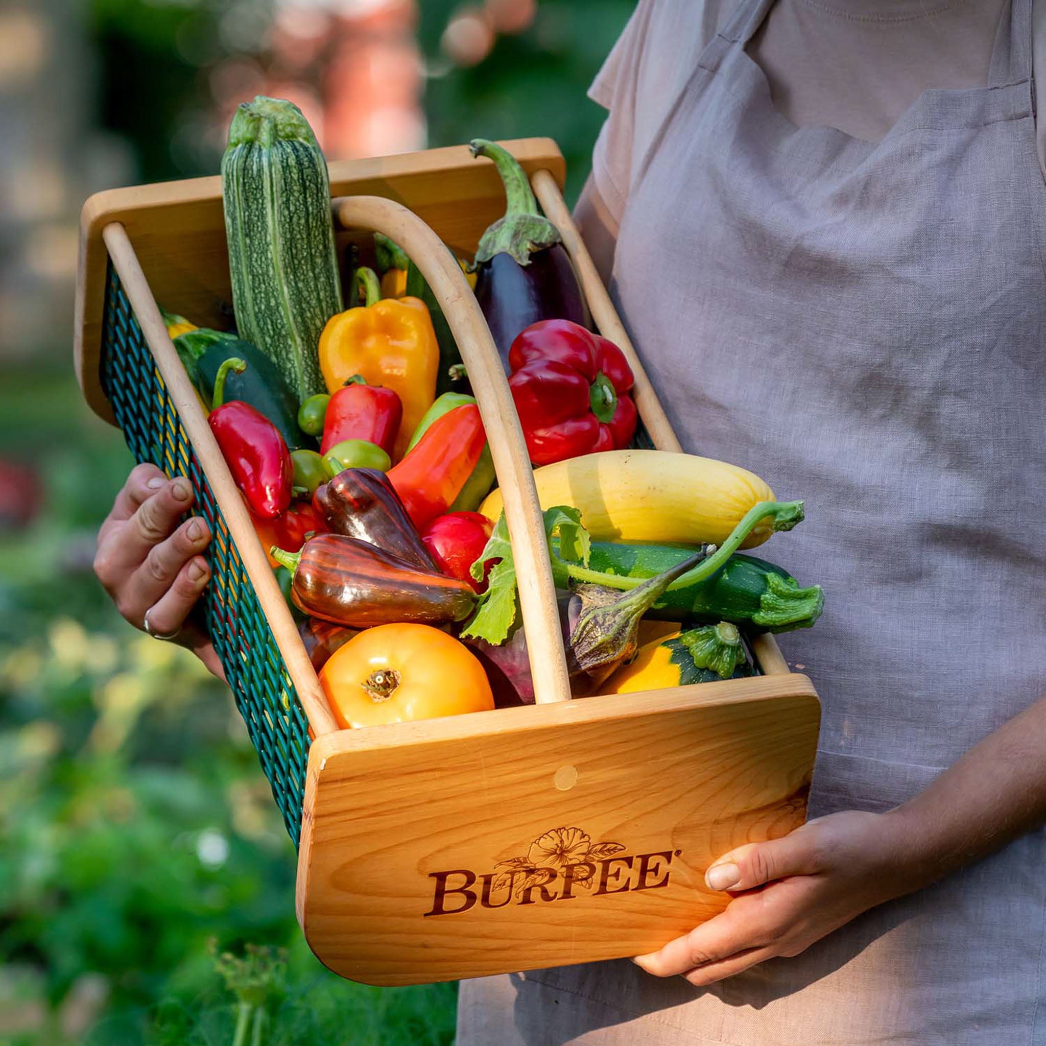 Burpee's Garden Hod