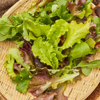 Salad Mix Mesclun