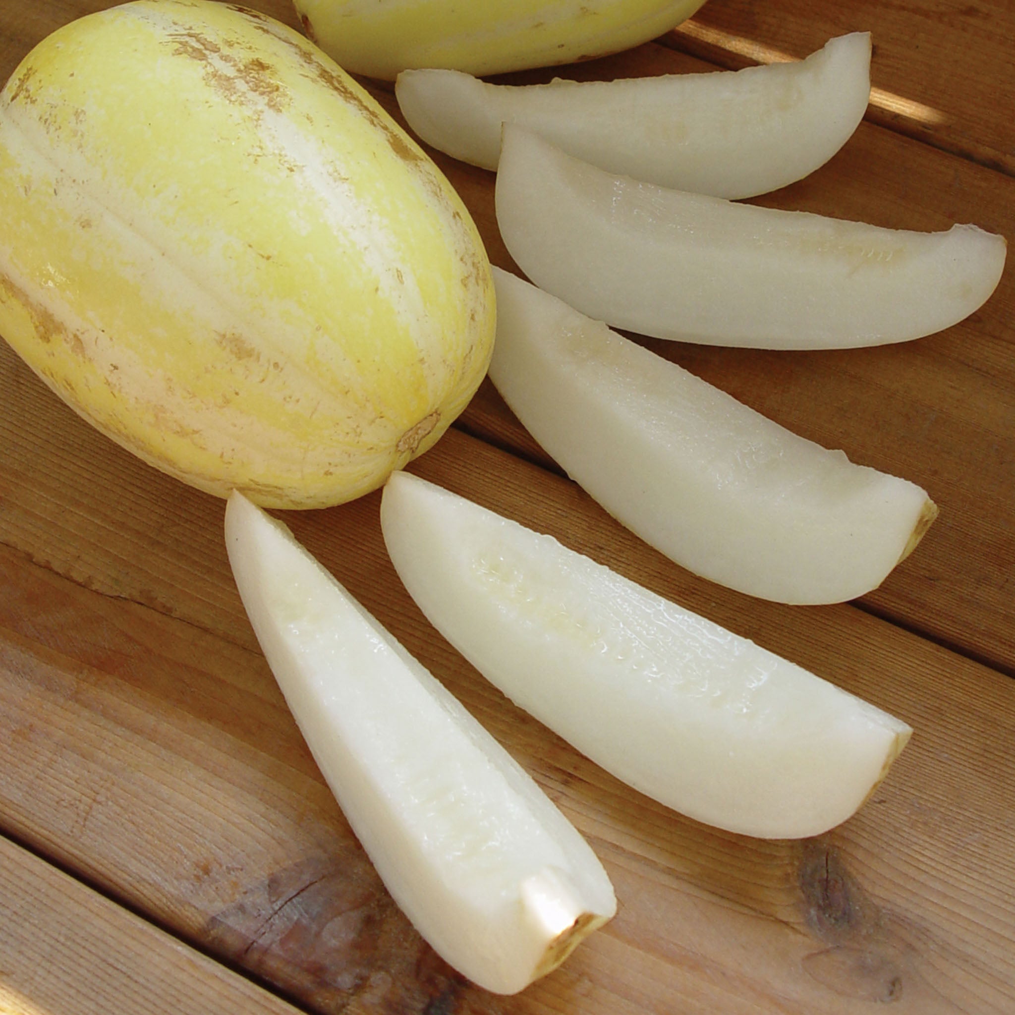 Early Silver Line Melon