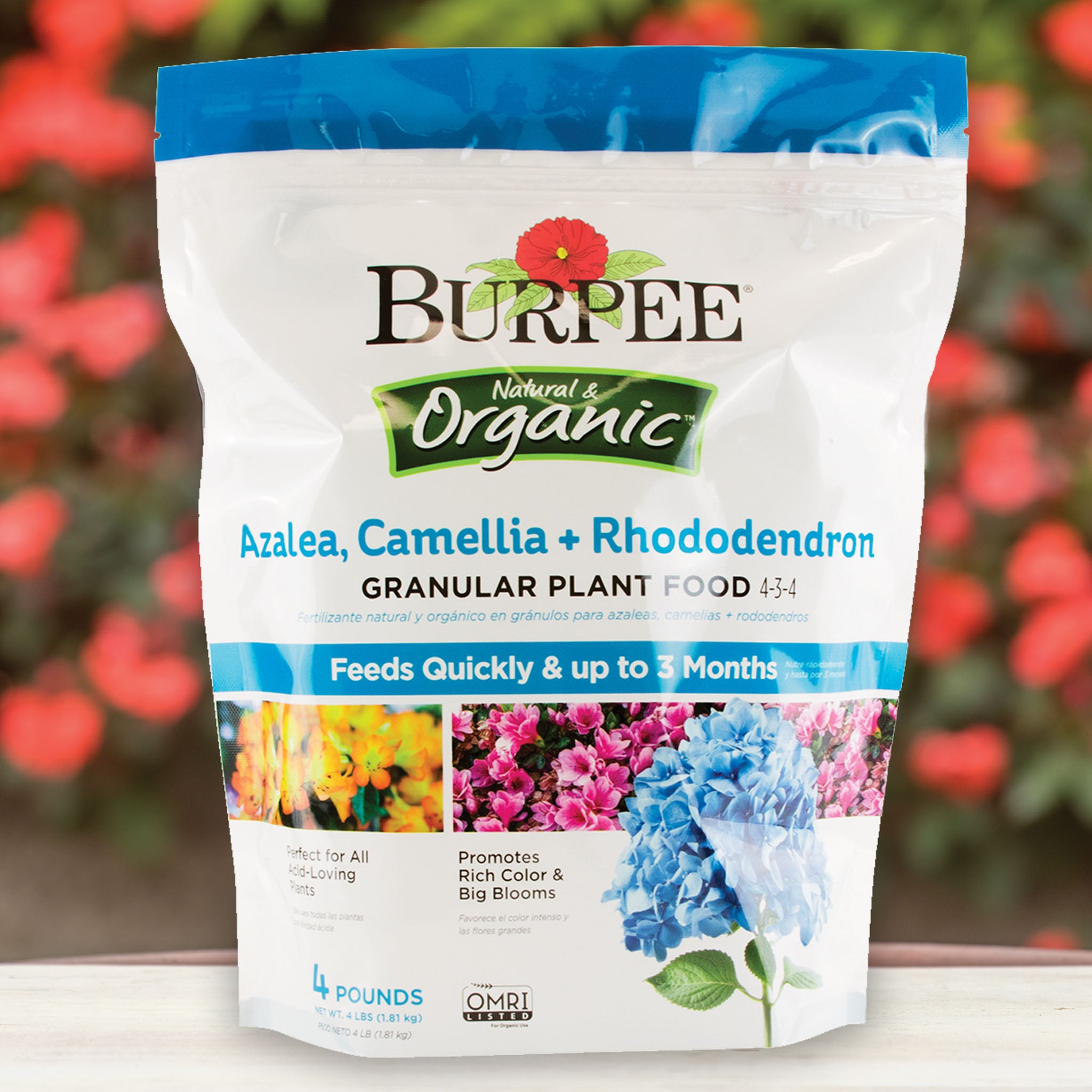 Rhododendron Plant Food 4-3-4 Camellia Burpee Natural Organic Azalea