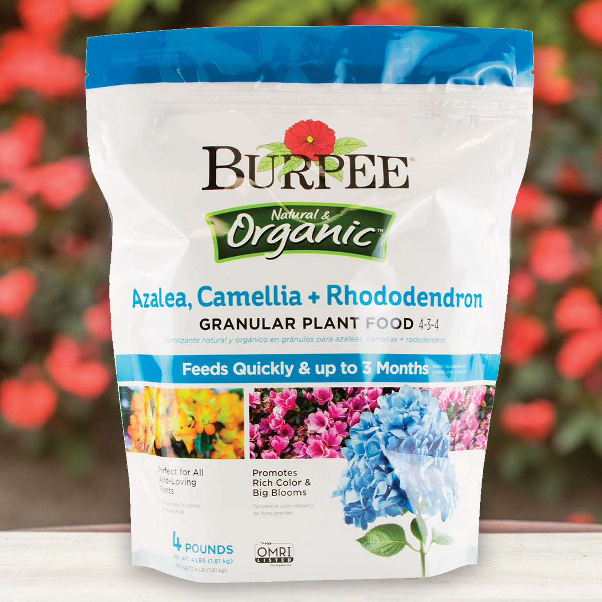 Rhododendron Plant Food 4-3-4 Camellia Burpee Natural Organic Azalea