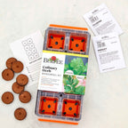 Culinary Herb Windowsill Herb Kit