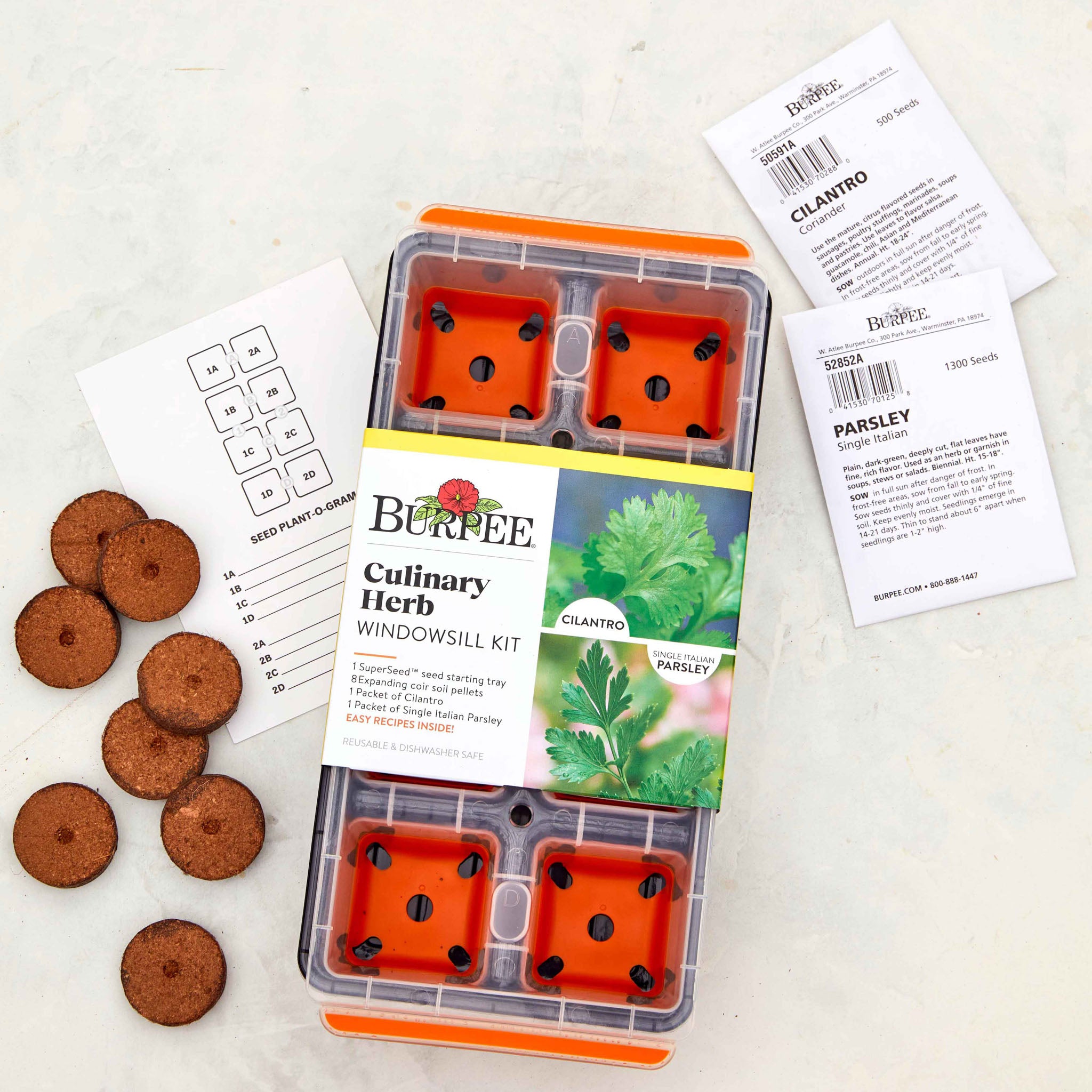 Culinary Herb Windowsill Herb Kit