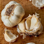 Early Italian Garlic Bulbs