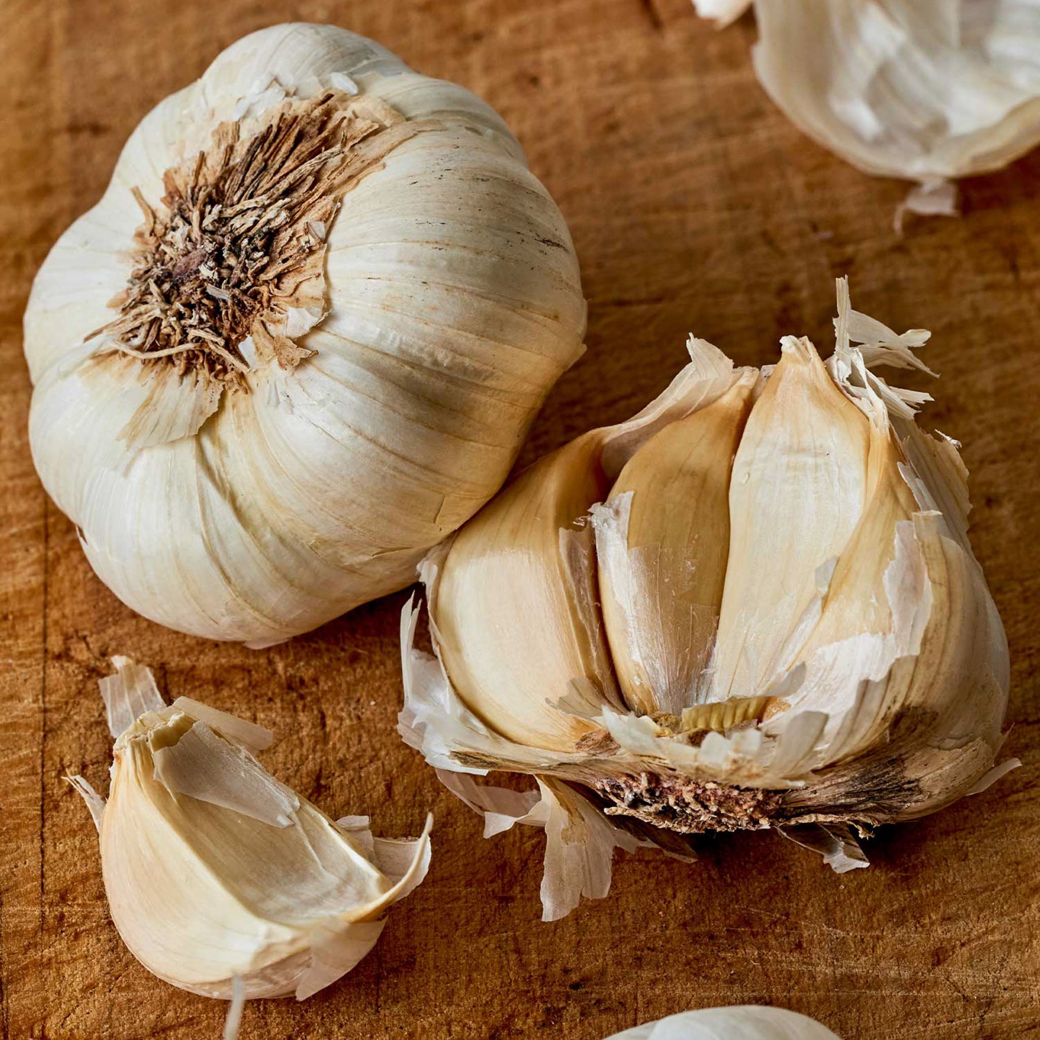 Early Italian Garlic Bulbs