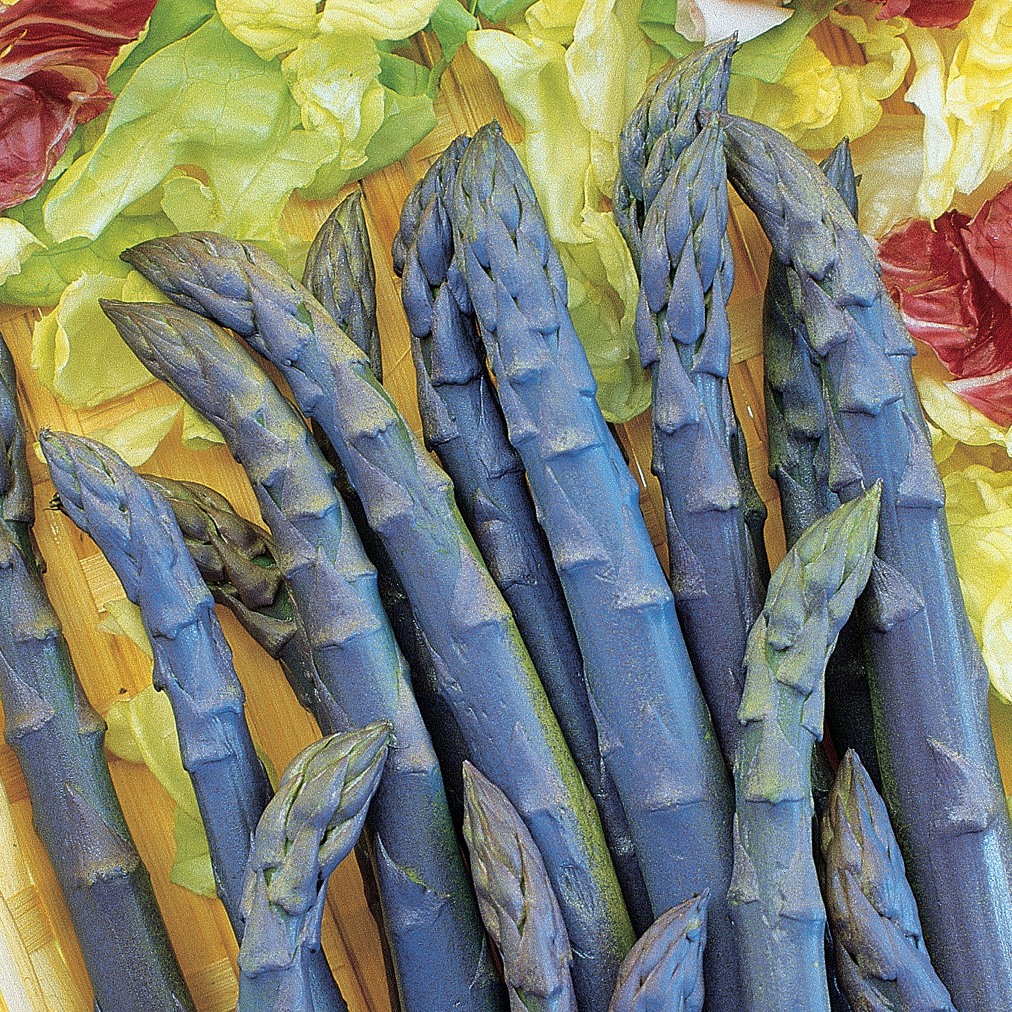 Purple Passion Asparagus Bare Root