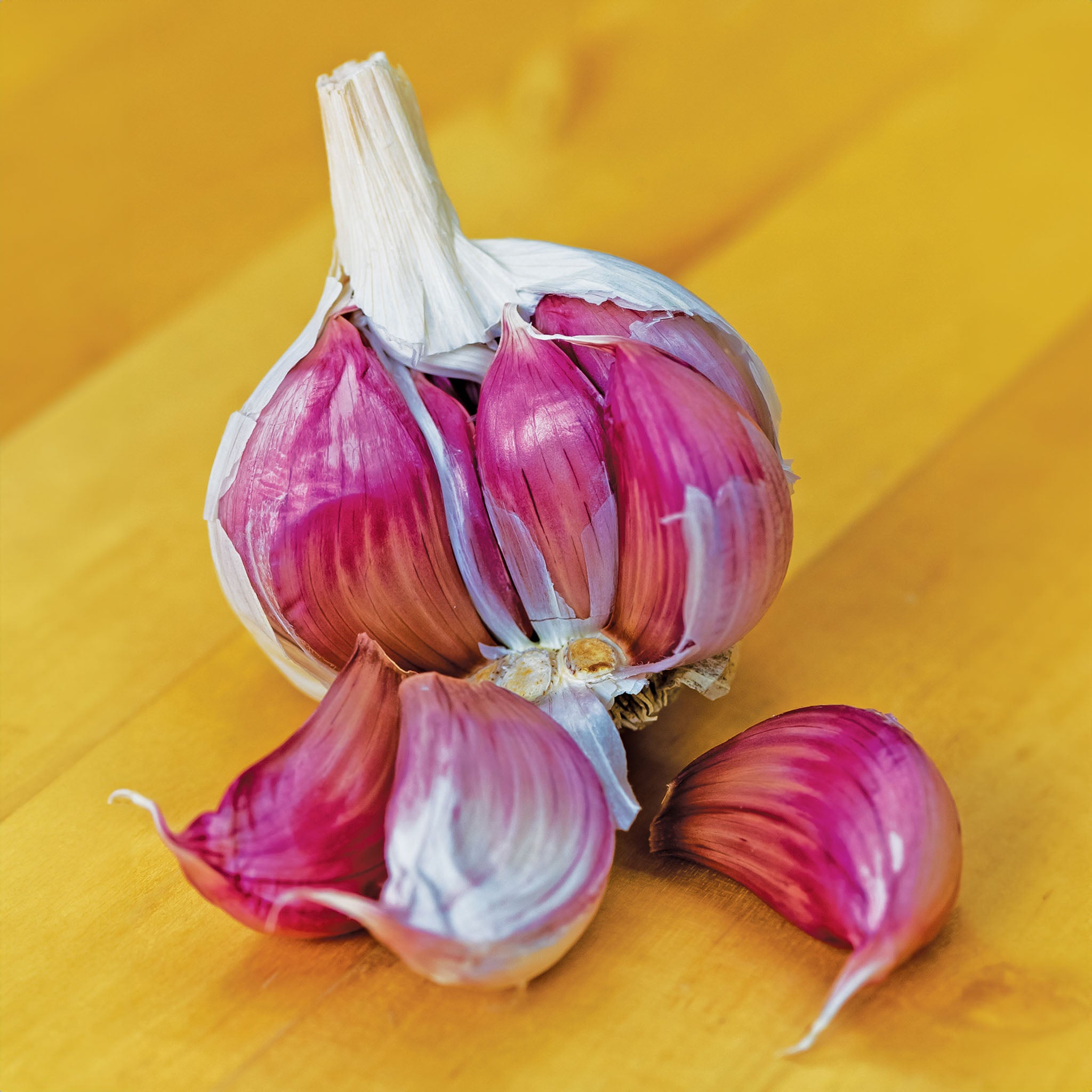 Ajo Rojo Garlic Bulbs