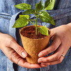 Biodegradable Plantable Round Fiber Pots