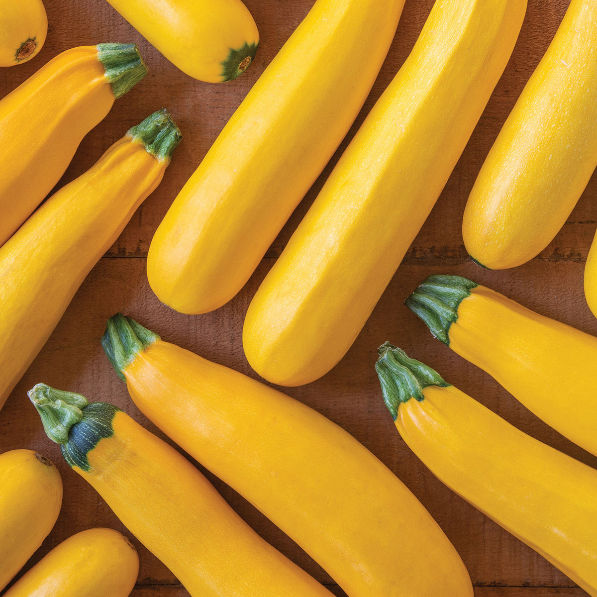 Fort Knox Summer Squash