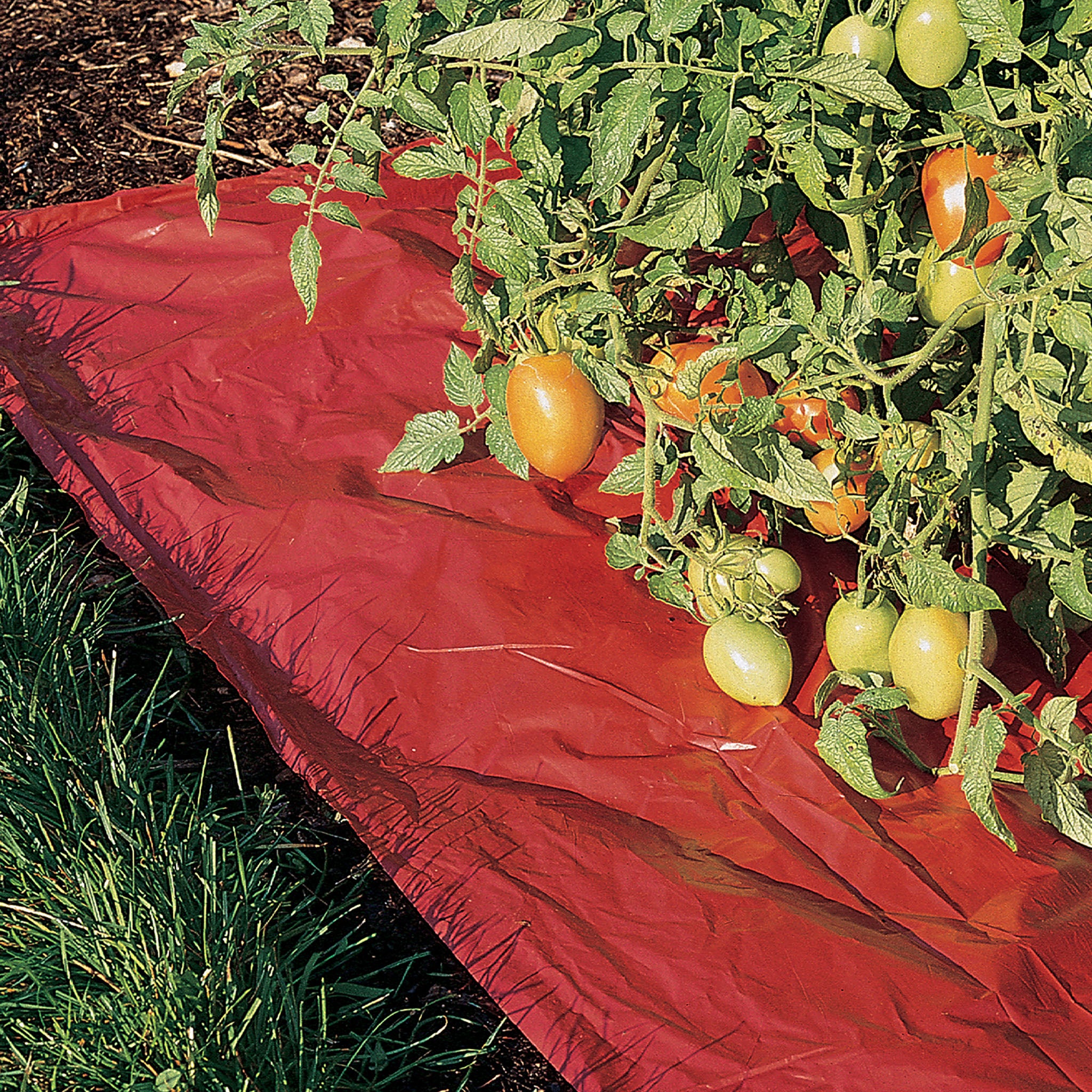Reflective Red Mulch Film