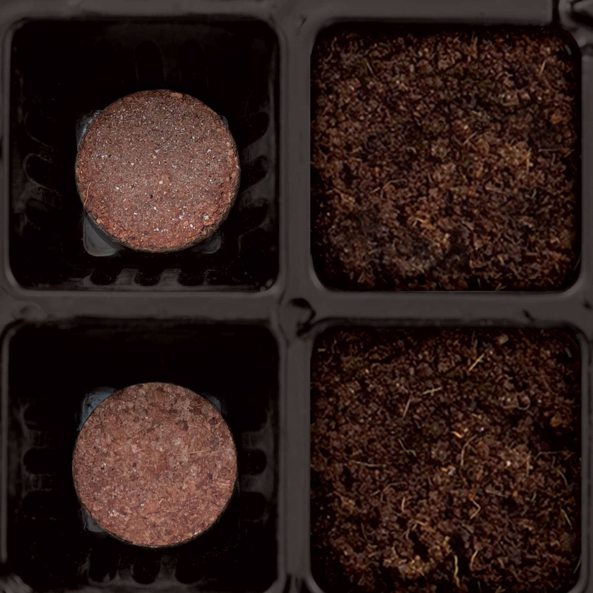 Burpee Super Growing Refill Pellet 22.5 mm