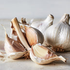 Music Garlic Bulbs