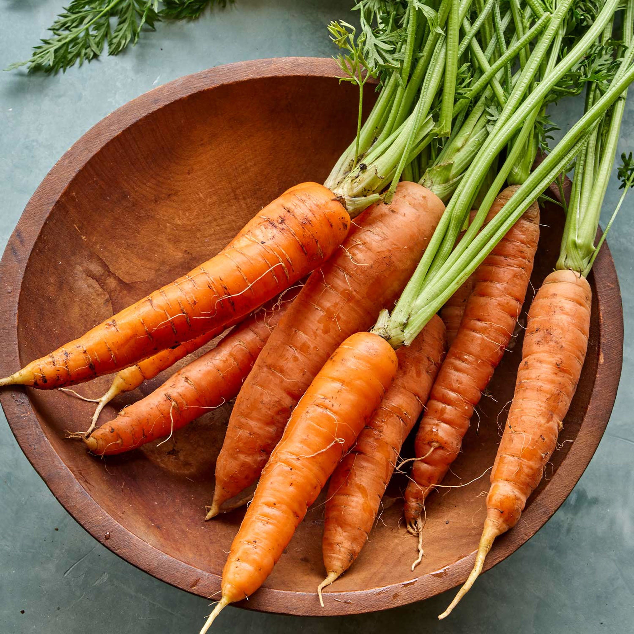 Touchon Carrot
