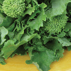 Spring Broccoli Raab