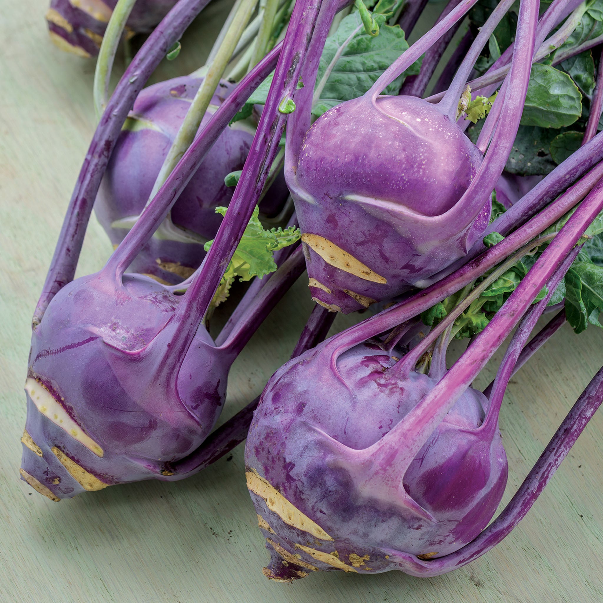 Purple Vienna Organic Kohlrabi