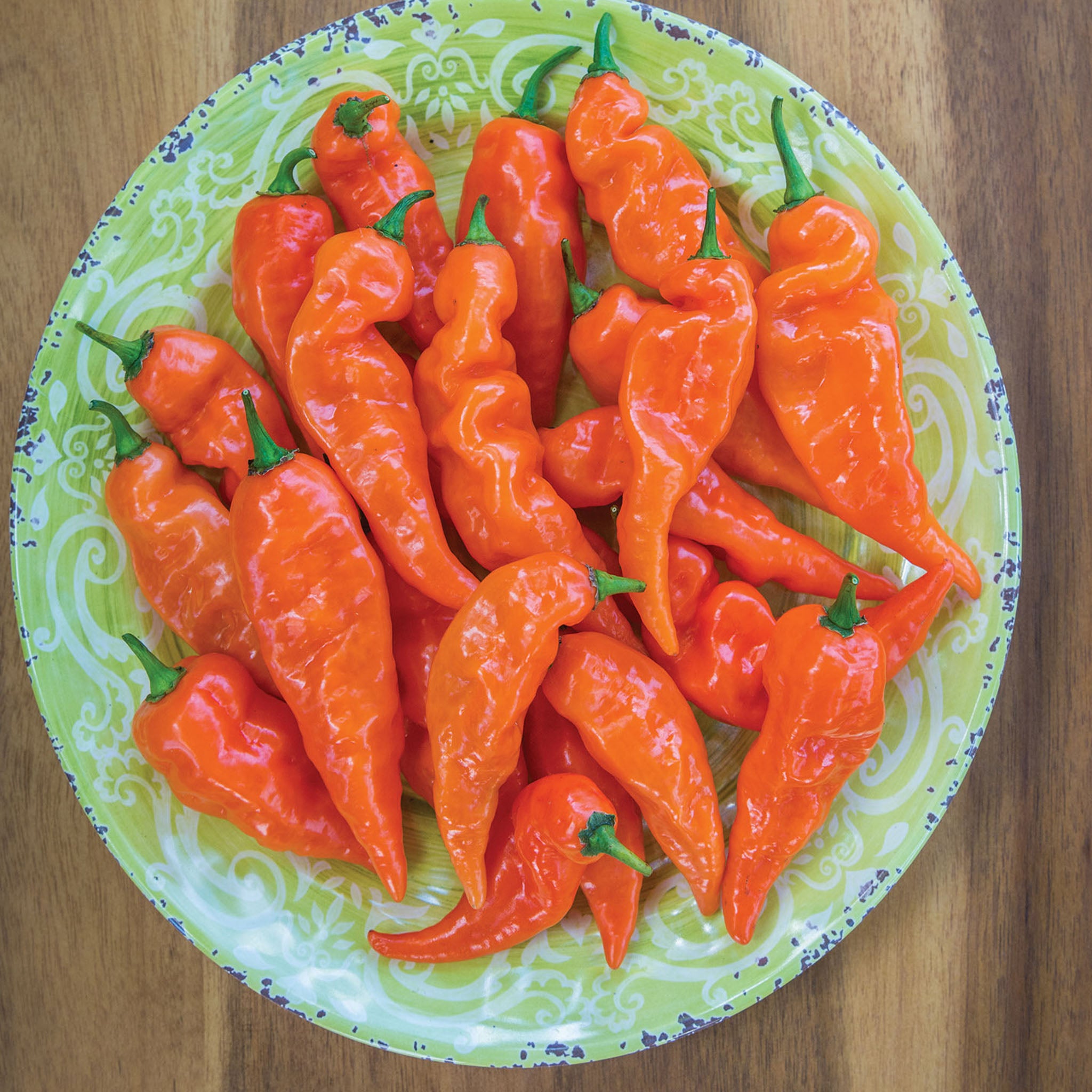 Habanero Habanada Sweet Pepper
