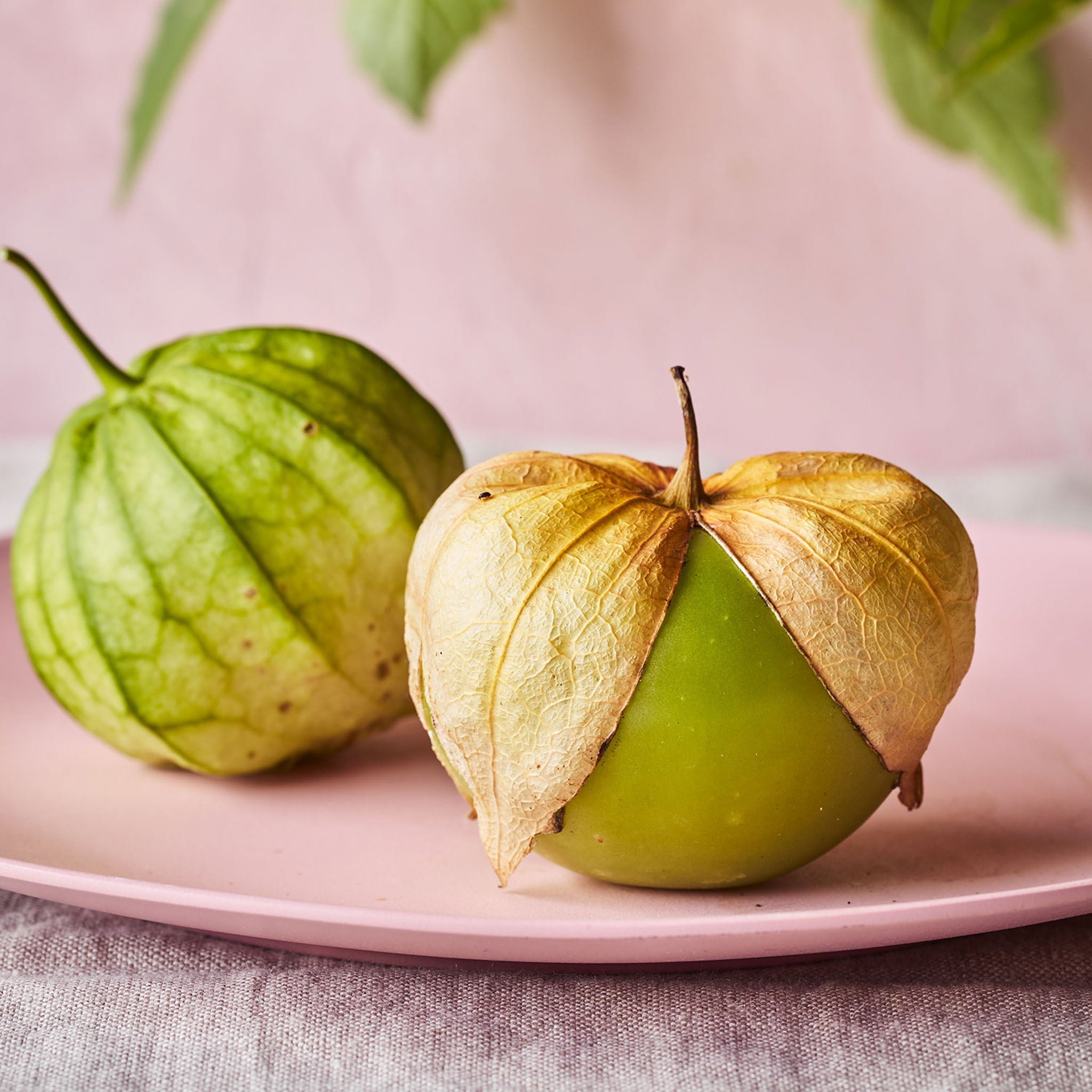 Gigante Verde Tomatillo