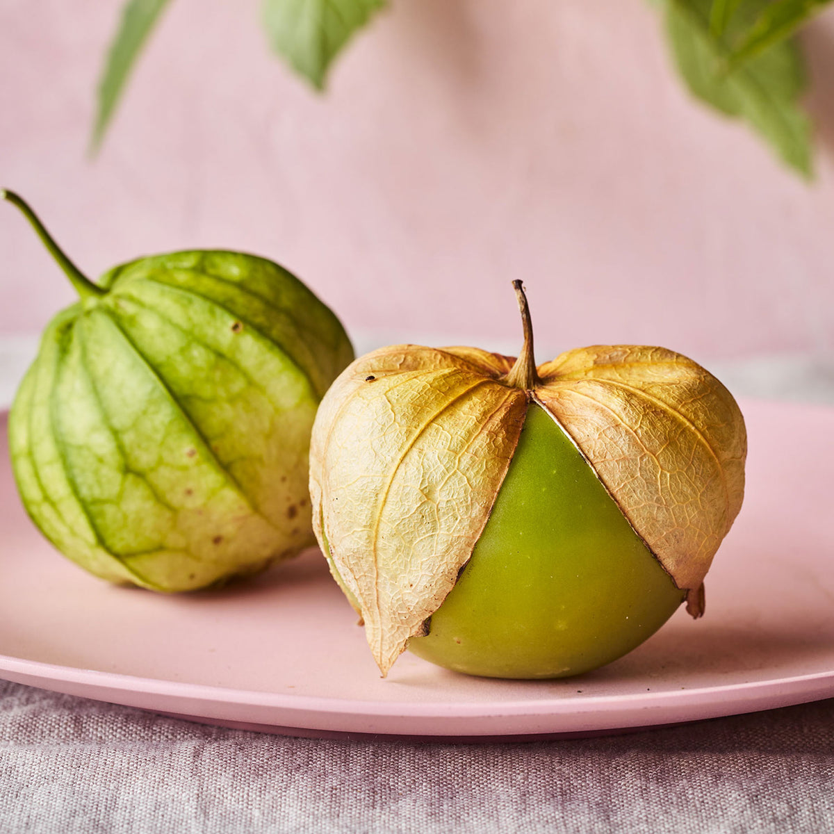Gigante Verde Tomatillo
