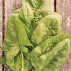 Double Take Spinach