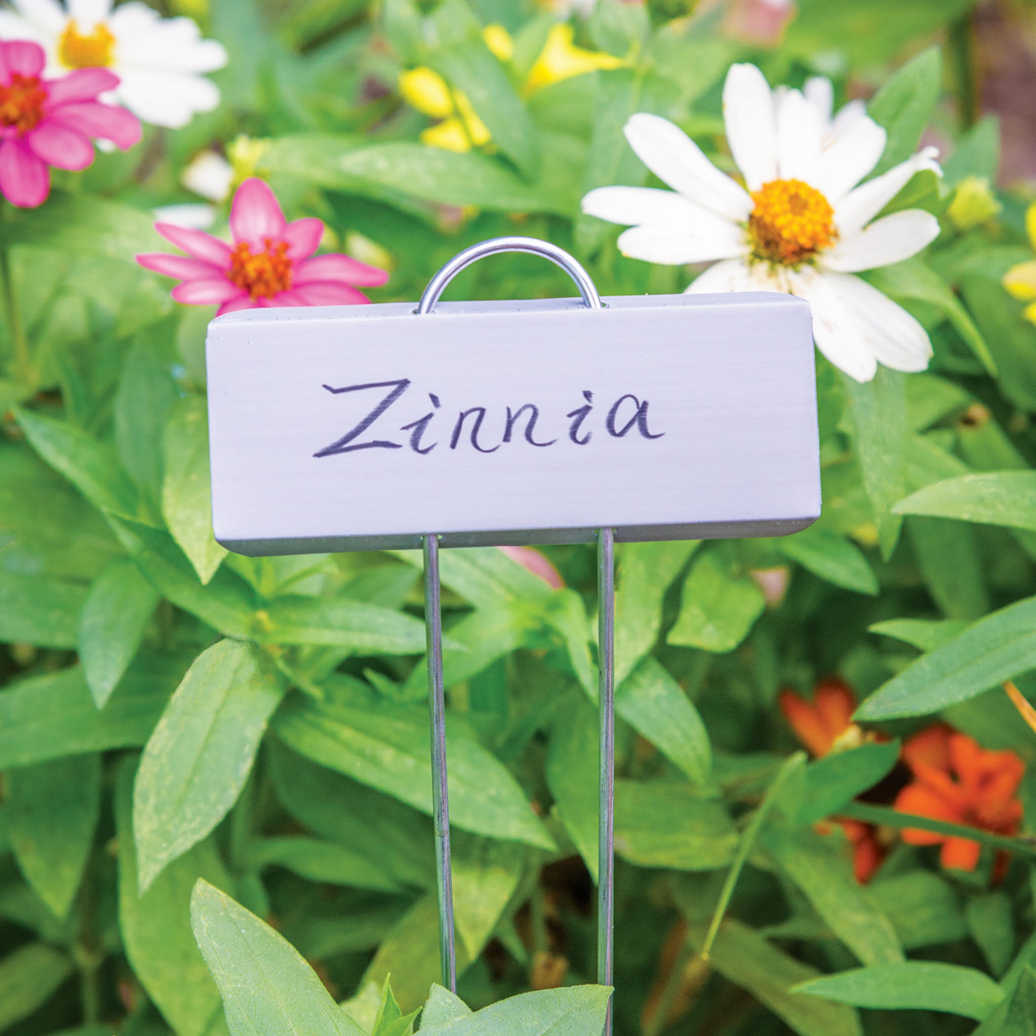 Plant Markers 25/Pack