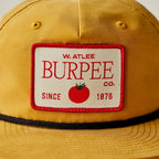 Biscuit Vintage Flat Snapback Hat - Burpee Sunflower