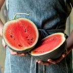 Bush Sugar Baby Watermelon