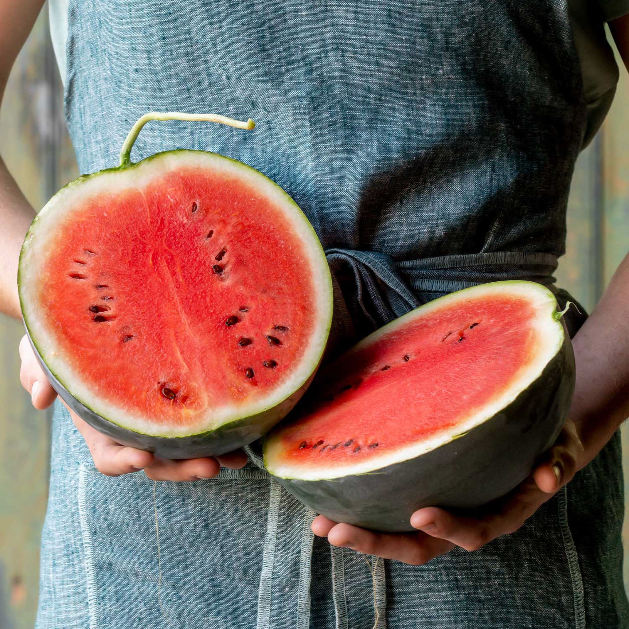 Bush Sugar Baby Watermelon