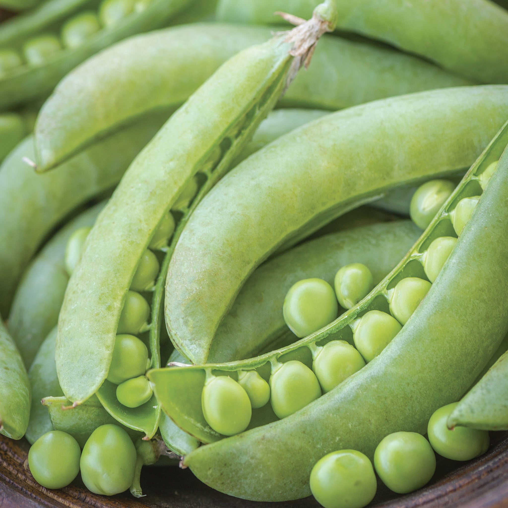Super Snappy Pea