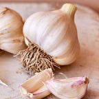 Silver Rose Garlic Bulbs