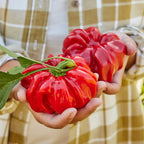Real Deal Hot Pepper
