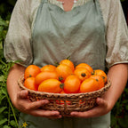 Vivacious Tomato