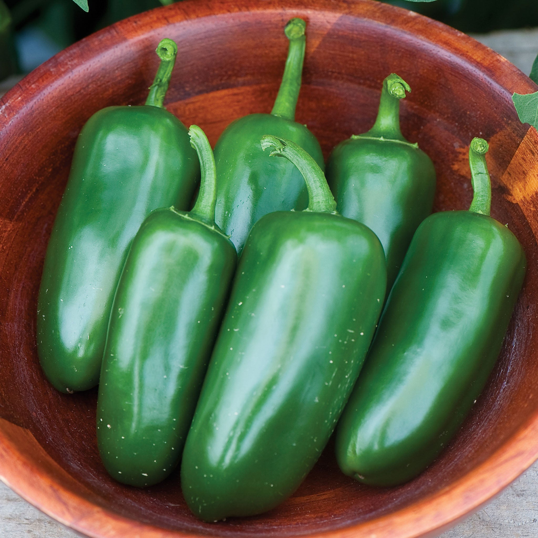 Jalapeño M Hot Pepper