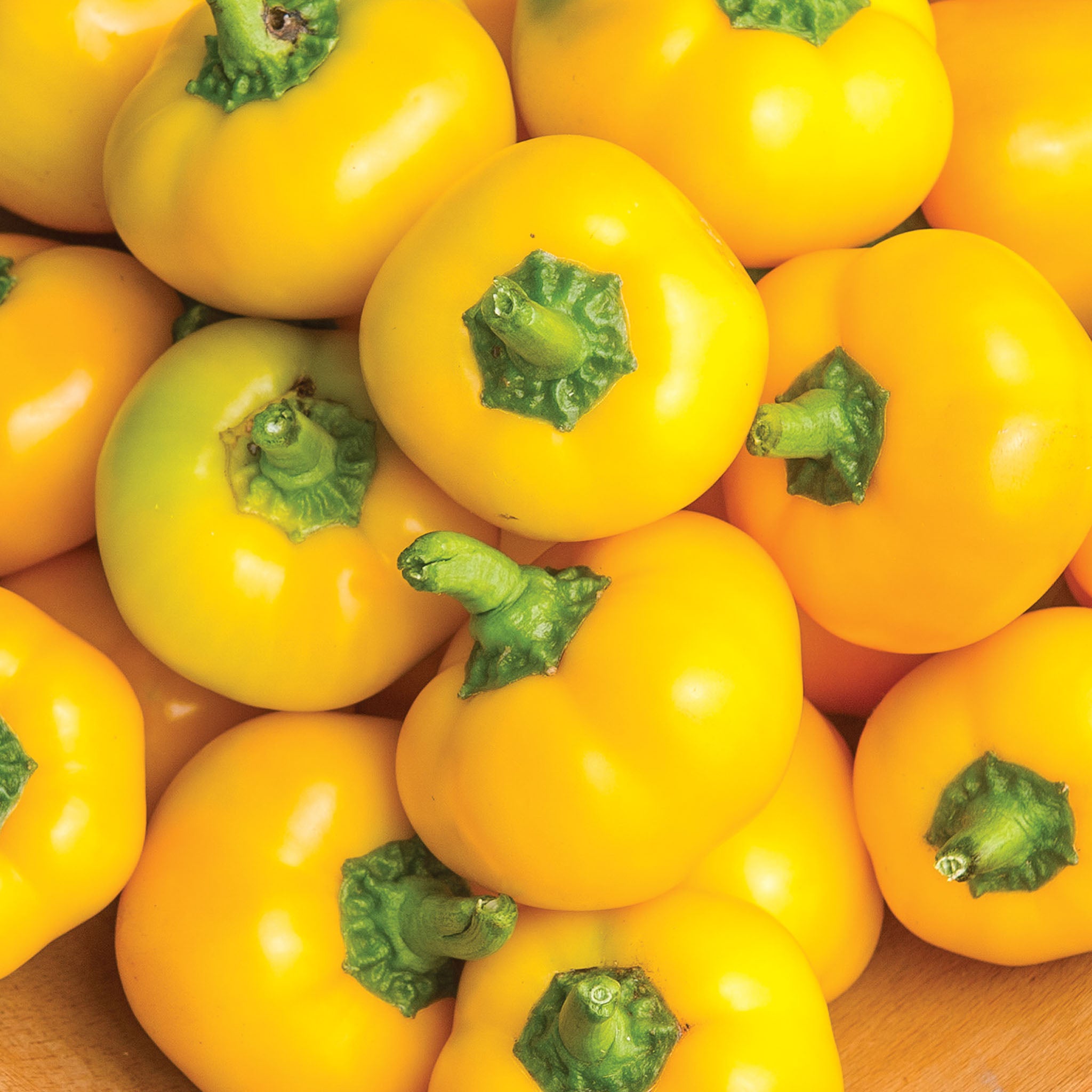 Tweety Sweet Pepper