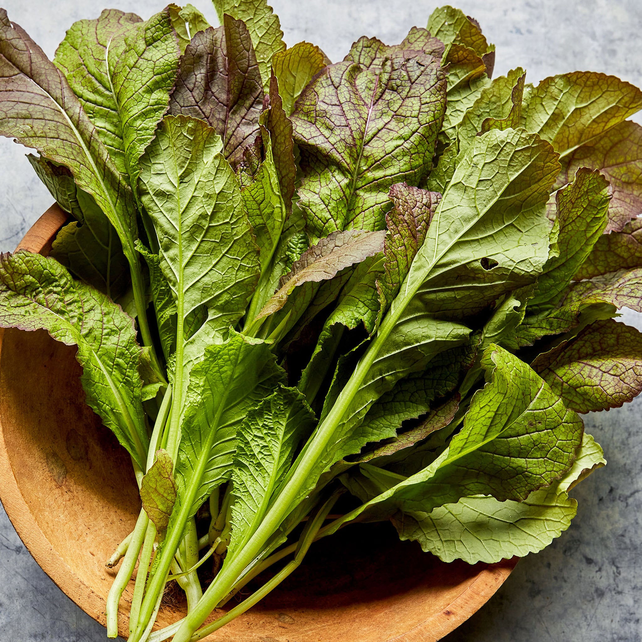 Red Giant Organic Mustard