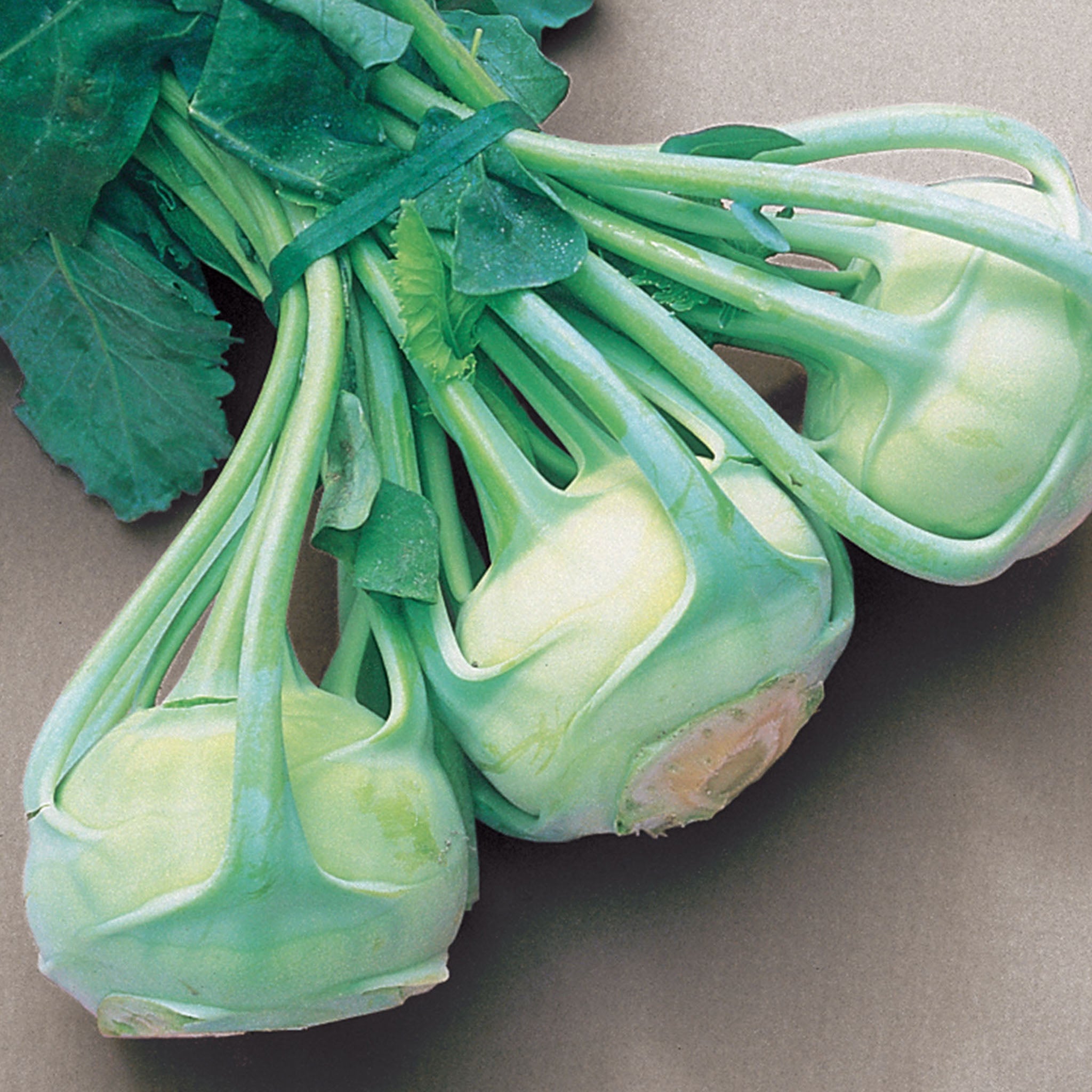 Early White Vienna Kohlrabi