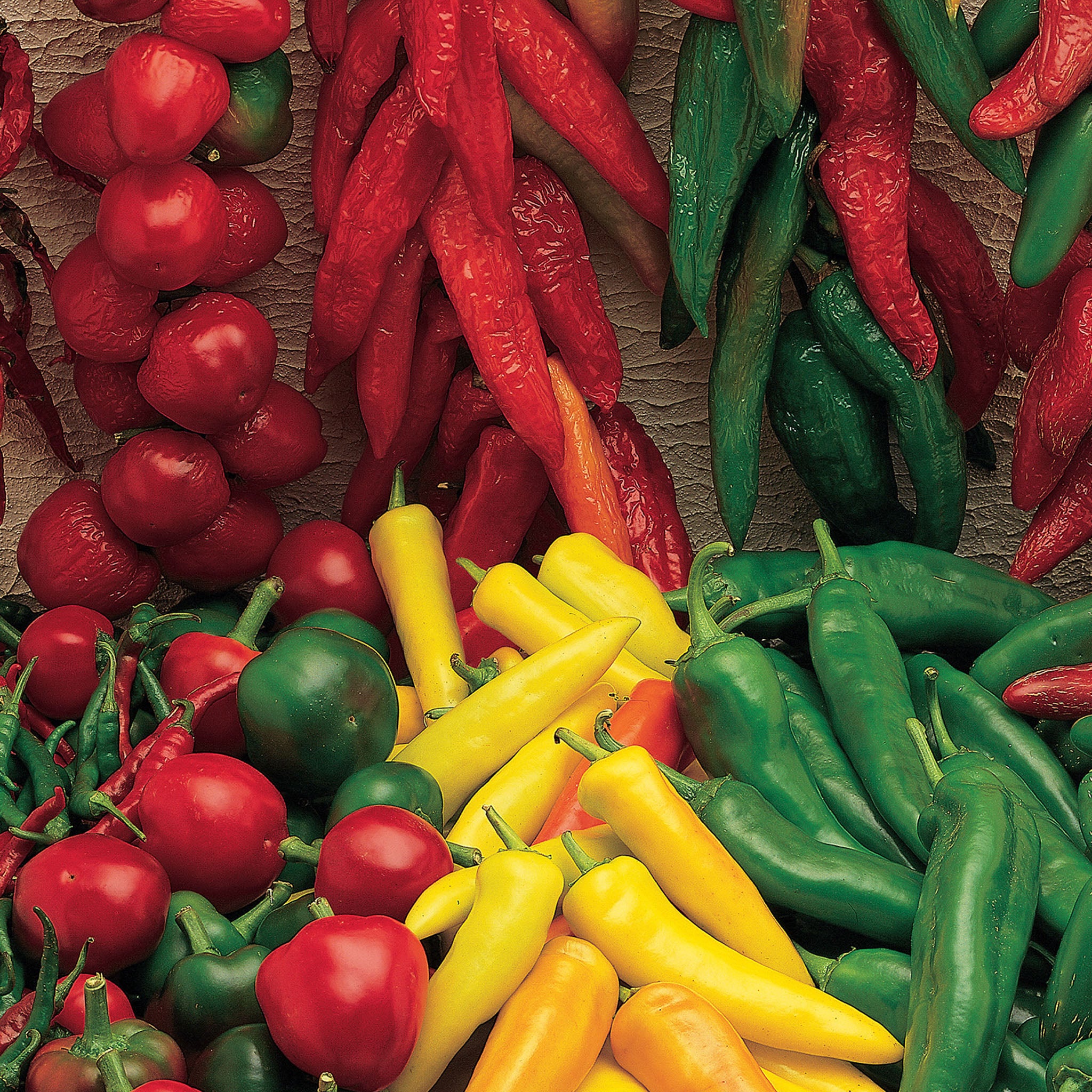 Salsa Blend Hot Pepper
